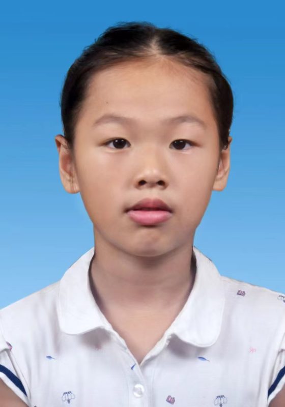 Wu, Honglin