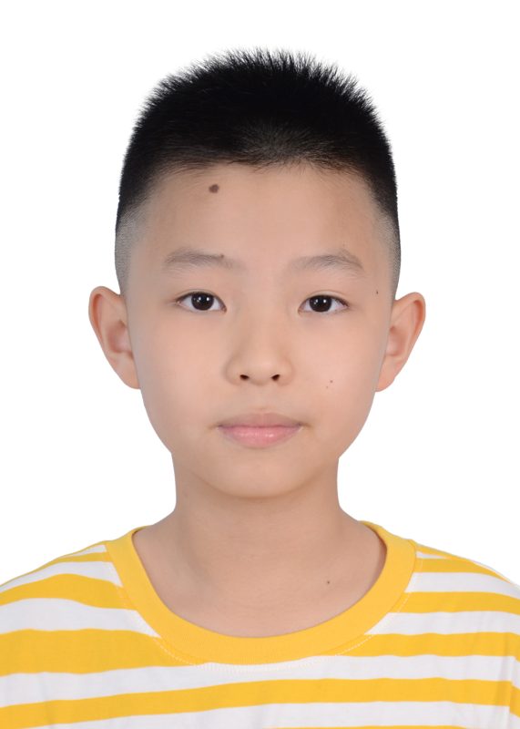 Portrait of Zuo, Junyu