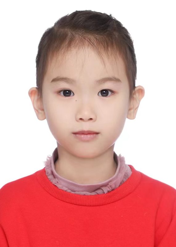 Portrait of Wang, Yingluo