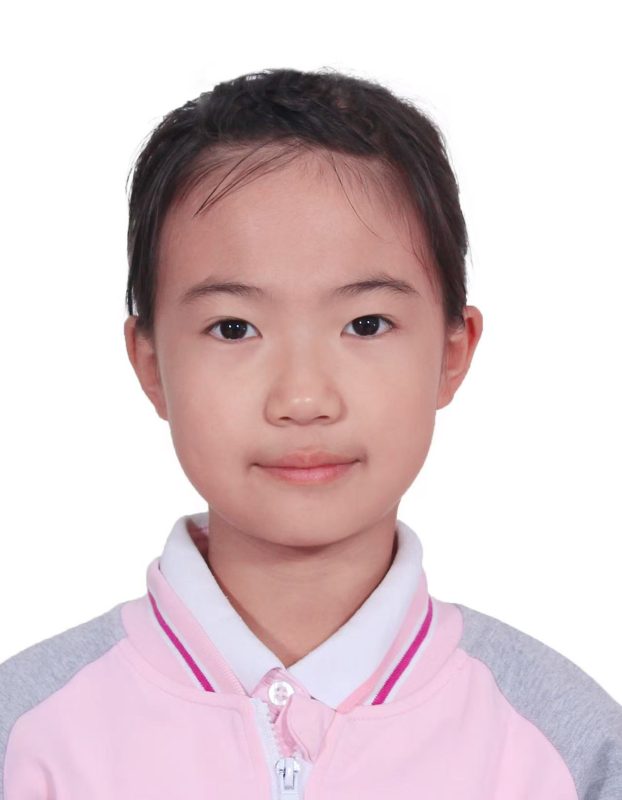 Portrait of Jiang, Luning